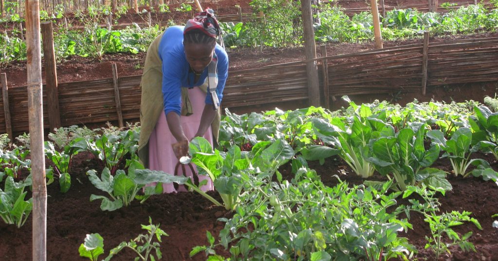 7851524256_0d374c8a35_o-1