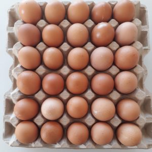 Eggs for sale