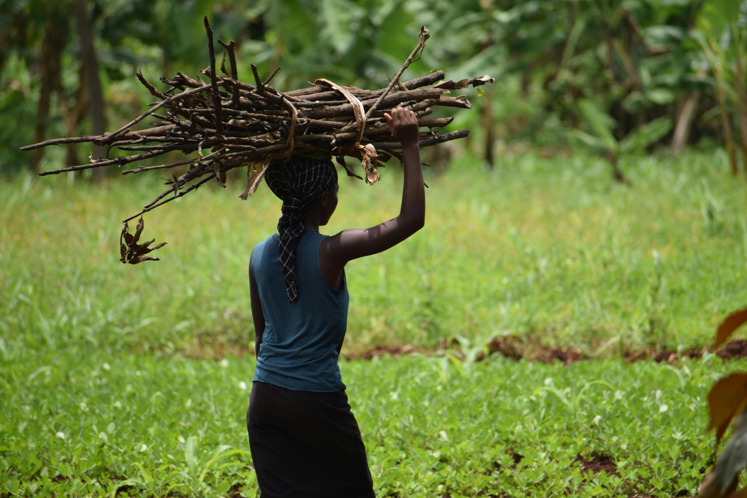 pexels-angura-gabriel-1402895871-26493502